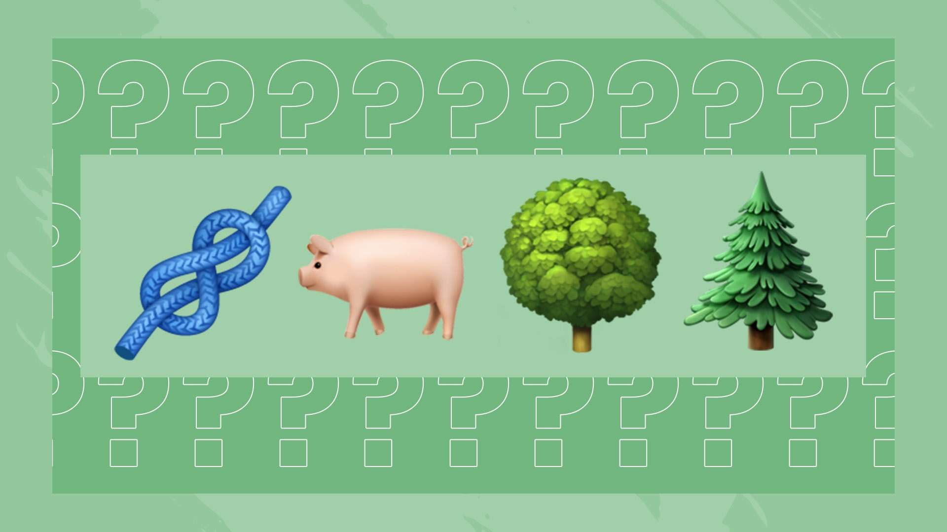 廈門環東文 廈門環東文